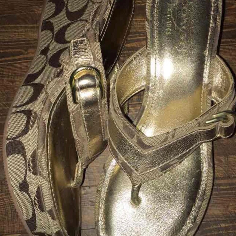 Evelina coach wedges